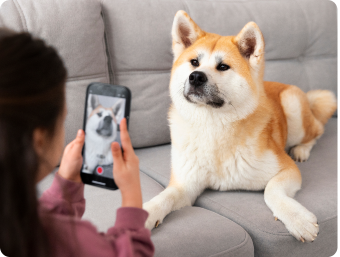 Person video calling their dog